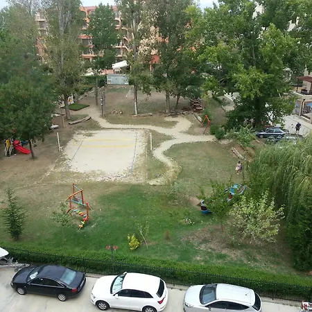 Kasandra Słoneczny Brzeg